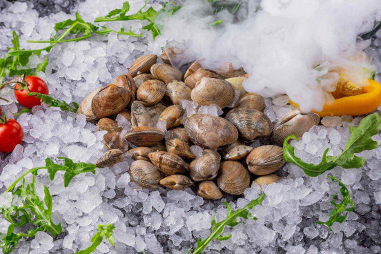 Mussels